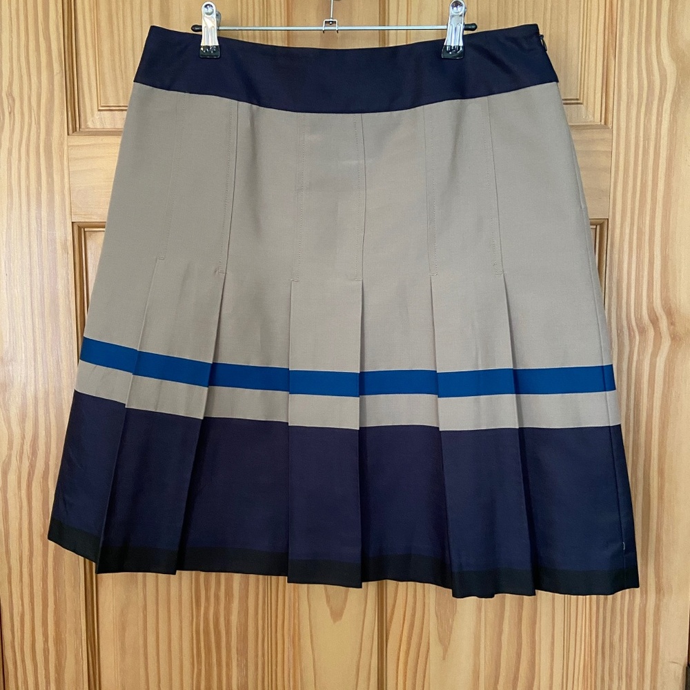 Ann Taylor pleated skirt (size 10)